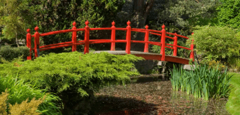Botanischer Garten