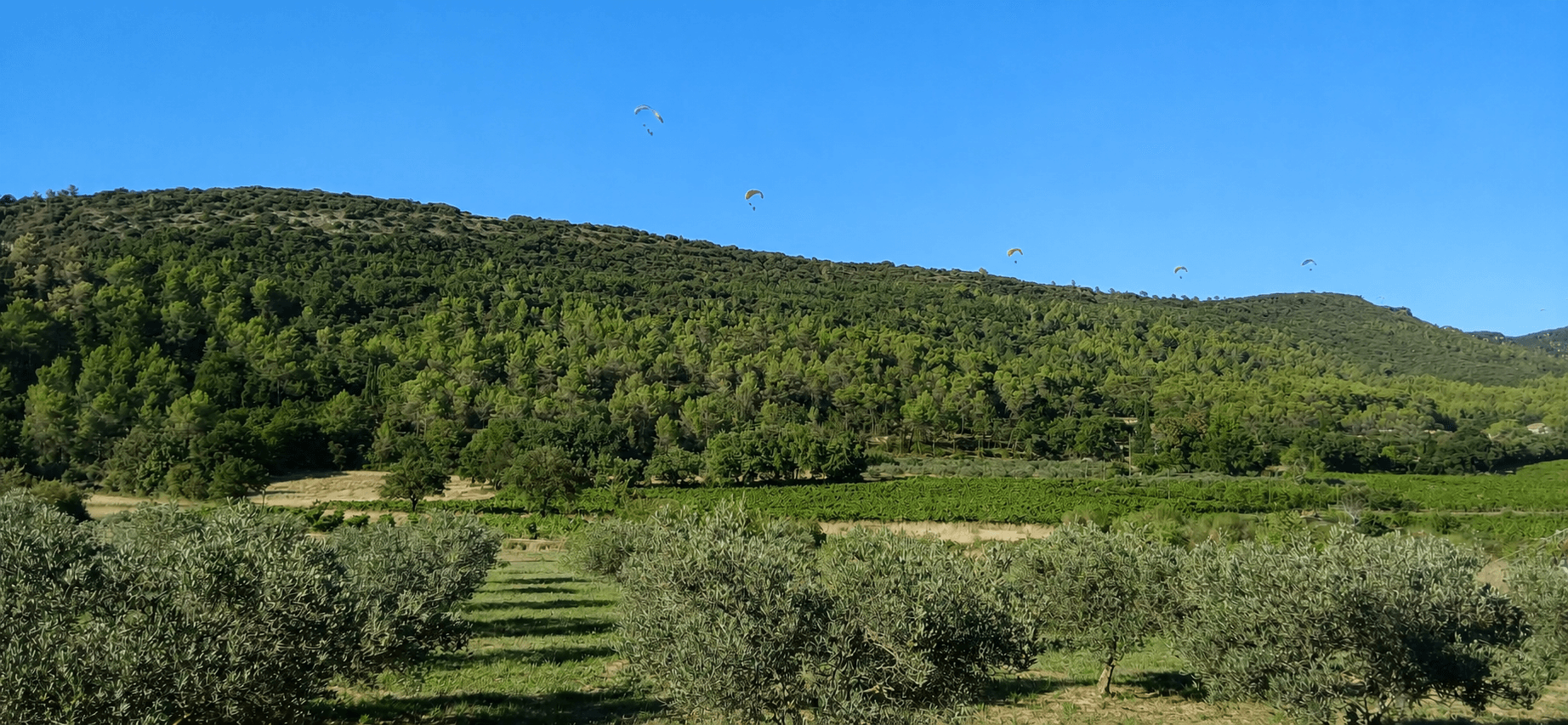 Gleitschirmfliegen